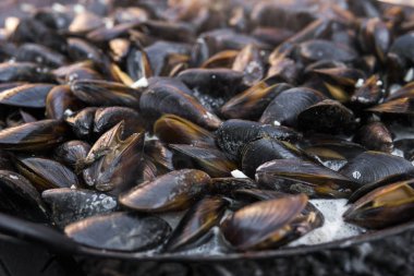 Taze ızgara tava, midye. Deniz açık havada barbekü. Piknik sağlıklı gıda, midye kabukları içinde. Çok geniş metalik pan pişirme midye kabukları.