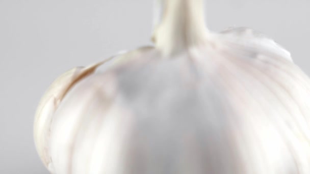 Macro shot of garlic is on a white table with white background. Prepearing for cooking. — Stock Video
