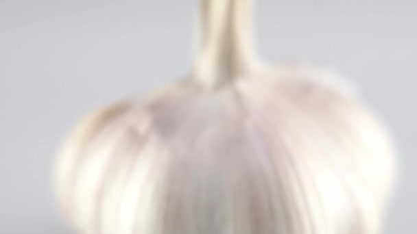 Macro shot d'ail est sur une table blanche avec fond blanc. Préparation à la cuisson . — Video