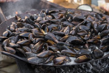 Taze ızgara tava, midye. Deniz açık havada barbekü. Piknik sağlıklı gıda, midye kabukları içinde. Çok geniş metalik pan pişirme midye kabukları.