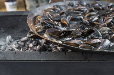 Taze ızgara tava, midye. Deniz açık havada barbekü. Piknik sağlıklı gıda, midye kabukları içinde. Çok geniş metalik pan pişirme midye kabukları.