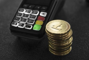 Bir yığın Litecoin kripto Döviz Alım ve Pos terminali. Litecoins Cryptocurrency. E-ticaret, iş, finans kavramı, bankacılık ve ödeme.