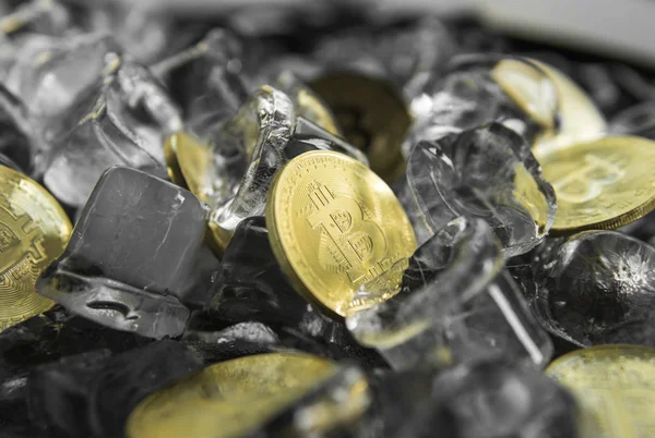 Många guld bitcoin mynt på isen bakgrund. Frysa. Blockchain gruvdrift. Digitala pengar och virtuella kryptovaluta koncept. Iinvestment. Bussiness, kommersiella. — Stockfoto