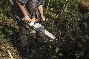 Oduncu logger işçi turuncu chainsaw ile orman içinde kesme yakacak odun ahşap ağaç.