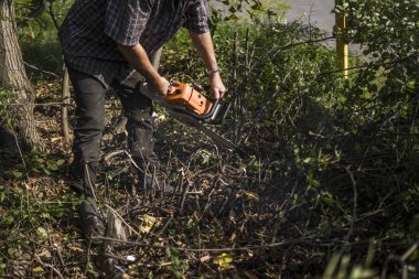 Oduncu logger işçi turuncu chainsaw ile orman içinde kesme yakacak odun ahşap ağaç.