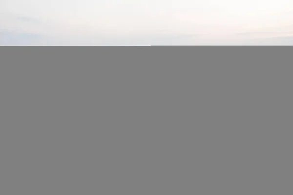 Giovane grano verde su un bel campo in un tramonto. Stagionatura del grano. Agricoltura. Prodotto naturale . — Foto Stock