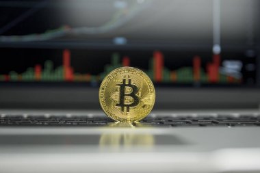 Altın bitcoin sikke gümüş klavye laptop ve diyagram grafik grafik arka plan olarak bir ekranda. Sanal cryptocurrency kavramı. Bitcoins online iş araştırma. Bitcoins ticaret.