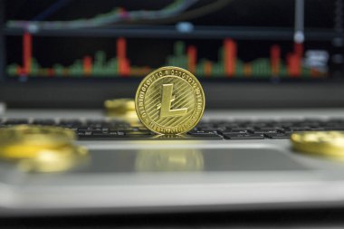 Altın Litecoin madeni para ile altın gümüş laptop ve diyagram grafik grafik arka plan olarak bir ekranda siyah klavyesindeki etrafında yalan. Litecoins online iş araştırma. Ticaret.