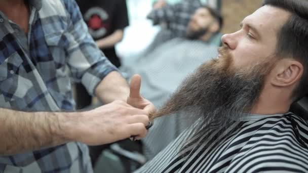 Barber doing beards haircut with adult men with a long beard in the mens hair salon. Grooming the beard. Hairdressers in the workplace. Beard hairstyling and haircutting in a barber shop. — Stock Video