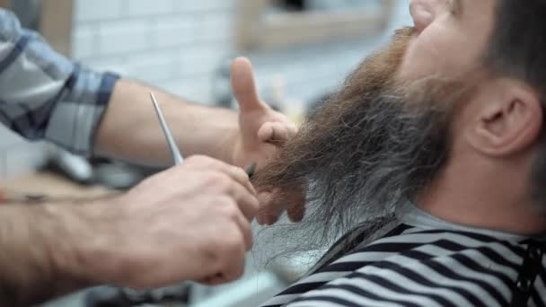 Barbier faire barbe coupe de cheveux avec des hommes adultes avec une longue barbe dans le salon de coiffure des hommes. Le toilettage de la barbe. Salons de coiffure sur le lieu de travail. Coiffure et coupe de barbe dans un salon de coiffure . — Video