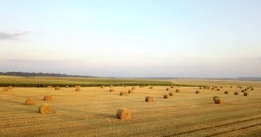 Uçan mowed saman balya altın alan yukarıda. İnanılmaz düz düz hasat ve tarım alanı golded saman ve sarı buğday hazırlanan yığın Tarım için. Hasat alanın üzerinde uçuş.
