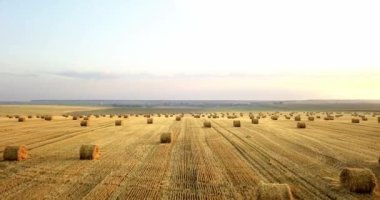 Uçan mowed saman balya altın alan yukarıda. İnanılmaz düz düz hasat ve tarım alanı golded saman ve sarı buğday hazırlanan yığın Tarım için. Hasat alanın üzerinde uçuş.