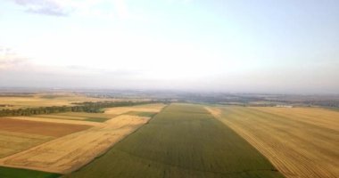 Çeşitli tarım alanlarının hava atış. Tarım. Tarım alanlarının hava atış. Tarım alanlarının hava atış. Tarımsal alanların görünümünü hasat bitkileri. Kırsal manzara. Counrtyside