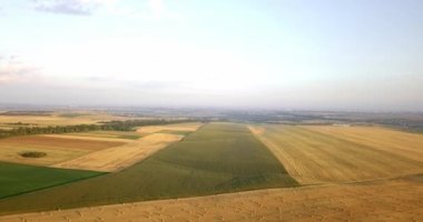 Çeşitli tarım alanlarının hava atış. Tarım. Tarım alanlarının hava atış. Tarım alanlarının hava atış. Tarımsal alanların görünümünü hasat bitkileri. Kırsal manzara. Counrtyside