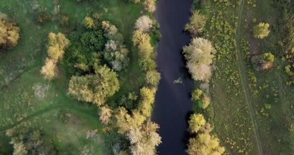 Vista aérea da floresta de outono colorido. Olhe para baixo na floresta de outono. Olhando para baixo em árvores coloridas de outono incrivelmente bonitas. Vista aérea do sobrevoo do drone. Voando acima do belo rio da floresta . — Vídeo de Stock