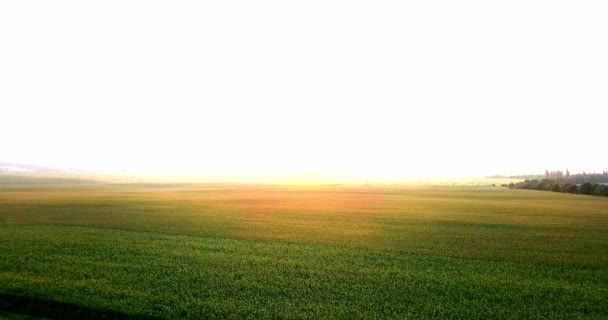 農業のさまざまな型のフィールドの空中ショットは。農業。農地の空中ショットは。農業分野の空中ショットは。農業分野のビューは作物収穫です。農村の風景です。Counrtyside — ストック動画