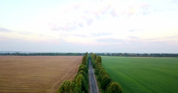 Повітряний постріл полів з різними видами сільського господарства. Сільське господарство. Повітряний постріл сільськогосподарських угідь. Повітряний постріл сільськогосподарських полів. Погляд на урожай сільськогосподарських культур. Сільський пейзаж. графстві — стокове відео