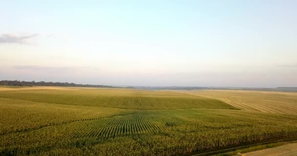 Aerial shot of fields with various types of agriculture. Farming. Aerial shot of farmland. Aerial shot of agricultural fields. View of agricultural Fields crops harvest. Rural Landscape. Counrtyside — Stock Video