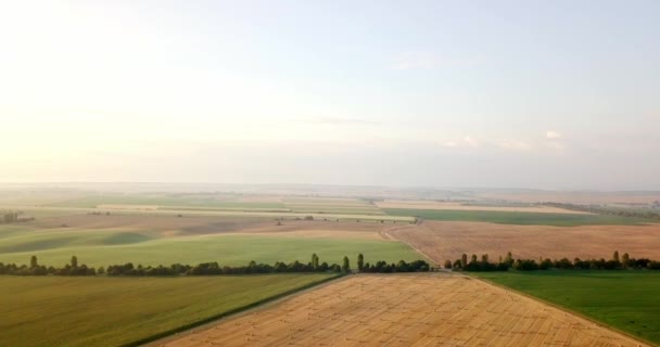 Повітряний постріл полів з різними видами сільського господарства. Сільське господарство. Повітряний постріл сільськогосподарських угідь. Повітряний постріл сільськогосподарських полів. Погляд на урожай сільськогосподарських культур. Сільський пейзаж. графстві — стокове відео