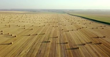 Uçan mowed saman balya altın alan yukarıda. İnanılmaz düz düz hasat ve tarım alanı golded saman ve sarı buğday hazırlanan yığın Tarım için. Hasat alanın üzerinde uçuş.