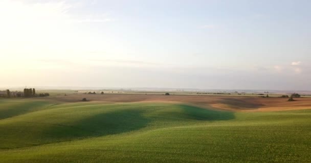 不同类型农业领域的空中拍摄。农业。农田的空中拍摄。农业领域的空中拍摄。农业领域农作物收成的看法。农村景观。Counrtyside — 图库视频影像