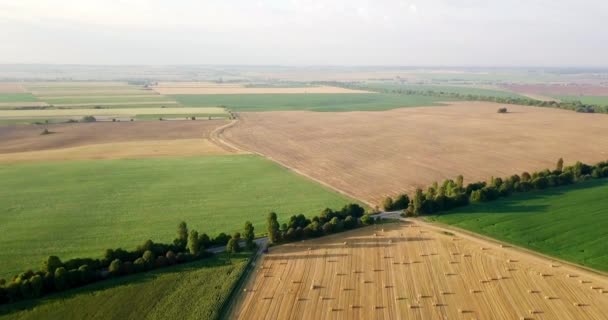 Tiro Aéreo Campos Com Vários Tipos Agricultura Agricultura Tiro Aéreo — Vídeo de Stock