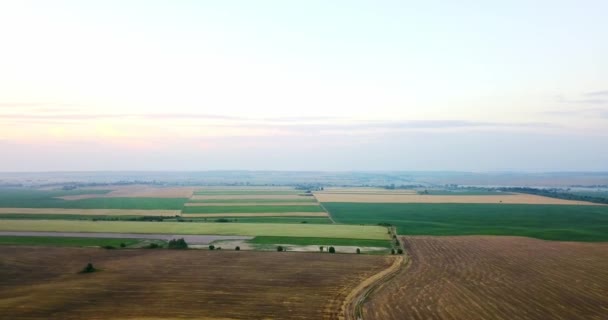 Captura Aérea Campos Con Varios Tipos Agricultura Agricultura Toma Aérea — Vídeos de Stock