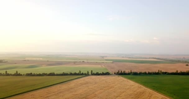 Colpo aereo di campi con vari tipi di agricoltura. Contadino. Colpo aereo di terreno agricolo. Colpo aereo di campi agricoli. Vista dei campi agricoli raccolto delle colture. Paesaggio rurale. Paese di origine — Video Stock