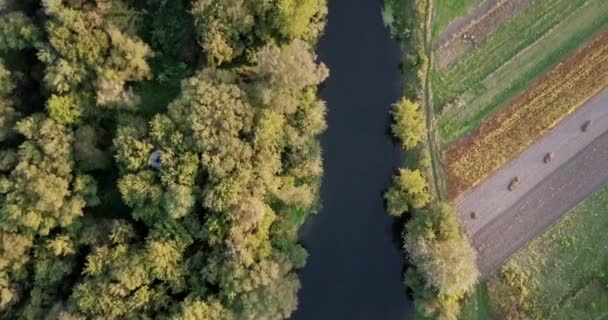 Vista aérea da floresta de outono colorido. Olhe para baixo na floresta de outono. Olhando para baixo em árvores coloridas de outono incrivelmente bonitas. Vista aérea do sobrevoo do drone. Voando acima do belo rio da floresta . — Vídeo de Stock