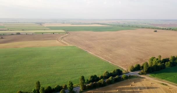 Luftaufnahme von Feldern mit verschiedenen Arten der Landwirtschaft. Landwirtschaft. Luftaufnahme von Ackerland. Luftaufnahme von landwirtschaftlichen Feldern. Blick auf landwirtschaftliche Felder Ernte. Ländliche Landschaft. Landkreisseite — Stockvideo