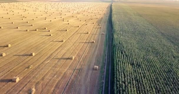 飞越黄金场的包修剪干草。令人惊叹的平直的平收获和农业领域的 golded 秸秆和黄小麦为耕种栈准备。飞行在收获的领域. — 图库视频影像