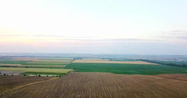 Luchtfoto van velden met verschillende soorten landbouw. Landbouw. Luchtfoto van landbouwgrond. Luchtfoto van landbouwgronden. Weergave van landbouwgronden gewassen oogst. Rurale landschap. Counrtyside — Stockvideo