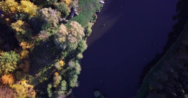 Luchtfoto van het kleurrijke herfst bos. Neerkijken op herfst bos. Neer te kijken op verbazingwekkend mooi herfst kleurrijke bomen. Luchtfoto drone viaduct weergave. Vliegen boven de rivier prachtig bos. — Stockvideo