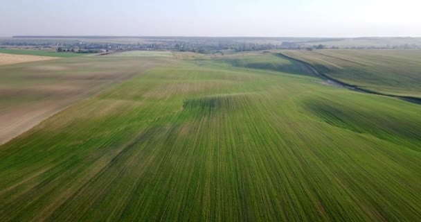 Повітряний постріл полів з різними видами сільського господарства. Сільське господарство. Повітряний постріл сільськогосподарських угідь. Повітряний постріл сільськогосподарських полів. Погляд на урожай сільськогосподарських культур. Сільський пейзаж. графстві — стокове відео