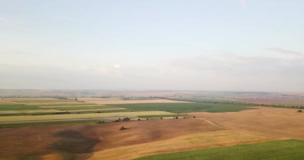 Captura aérea de campos con varios tipos de agricultura. La agricultura. Toma aérea de tierras de cultivo. Toma aérea de campos agrícolas. Vista de los campos agrícolas cosecha de cultivos. Paisaje rural. Campiña — Vídeos de Stock