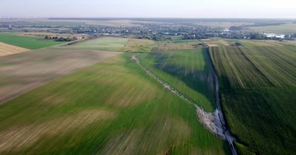 Vue aérienne de champs avec différents types d'agriculture. L'agriculture. Vue aérienne des terres agricoles. Vue aérienne des champs agricoles. Vue des champs agricoles Récolte des cultures. Paysage rural. Pays-Bas — Video