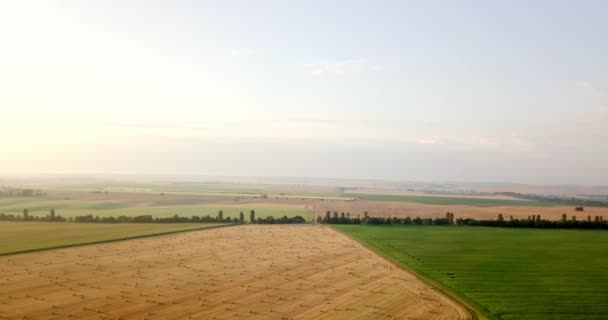 Antenn skott av fält med olika typer av jordbruk. Jordbruk. Antenn skott av jordbruksmark. Antenn skott av åkrar. Utsikt över åkrar grödor skörd. Landsbygdens landskap. Counrtyside — Stockvideo