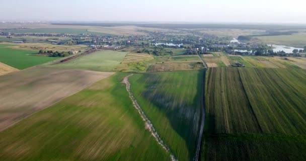 Tiro Aéreo Campos Com Vários Tipos Agricultura Agricultura Tiro Aéreo — Vídeo de Stock