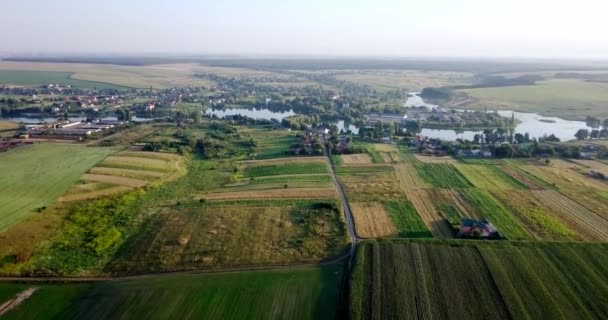 Luchtfoto van velden met verschillende soorten landbouw. Landbouw. Luchtfoto van landbouwgrond. Luchtfoto van landbouwgronden. Weergave van landbouwgronden gewassen oogst. Rurale landschap. Counrtyside — Stockvideo