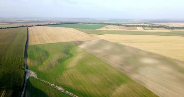 Luchtfoto van velden met verschillende soorten landbouw. Landbouw. Luchtfoto van landbouwgrond. Luchtfoto van landbouwgronden. Weergave van landbouwgronden gewassen oogst. Rurale landschap. Counrtyside — Stockvideo