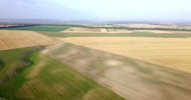 農業のさまざまな型のフィールドの空中ショットは。農業。農地の空中ショットは。農業分野の空中ショットは。農業分野のビューは作物収穫です。農村の風景です。Counrtyside — ストック動画