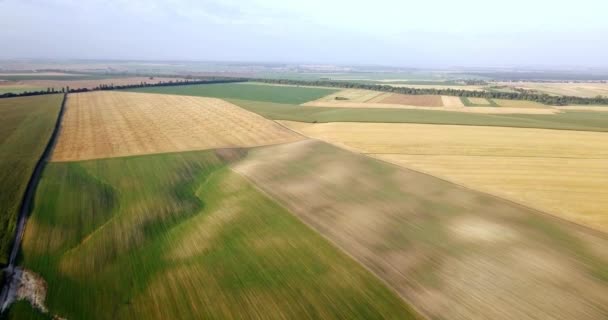 Colpo aereo di campi con vari tipi di agricoltura. Contadino. Colpo aereo di terreno agricolo. Colpo aereo di campi agricoli. Vista dei campi agricoli raccolto delle colture. Paesaggio rurale. Paese di origine — Video Stock