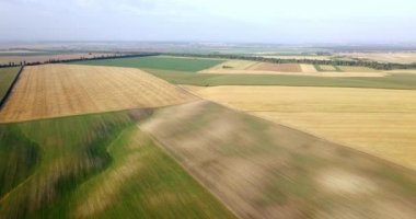 Çeşitli tarım alanlarının hava atış. Tarım. Tarım alanlarının hava atış. Tarım alanlarının hava atış. Tarımsal alanların görünümünü hasat bitkileri. Kırsal manzara. Counrtyside