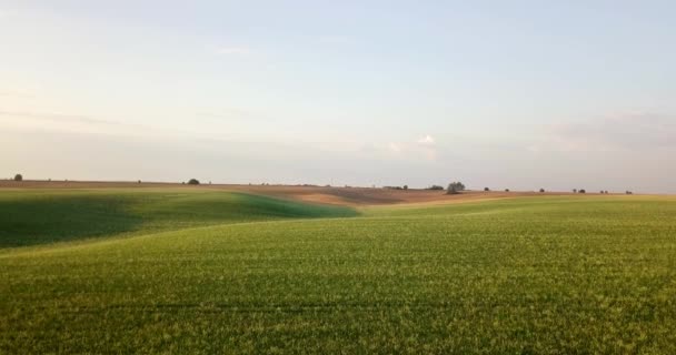 Légi felvétel különböző típusú mezőgazdasági területeken. Gazdálkodás. Légi felvétel a termőföld. Légi felvétel a mezőgazdasági területeken. Nézd a mezőgazdasági területek betakarítás növények. Vidéki táj. Counrtyside — Stock videók