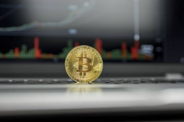 Altın bitcoin sikke gümüş klavye laptop ve diyagram grafik grafik arka plan olarak bir ekranda. Sanal cryptocurrency kavramı. Bitcoins online iş araştırma. Bitcoins ticaret.