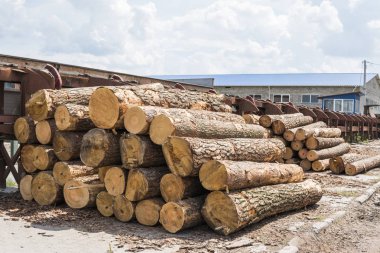 Günlükleri bir yığın yalan bir orman platformunda, kereste. Yel değirmeninin kola, ahşap işleme