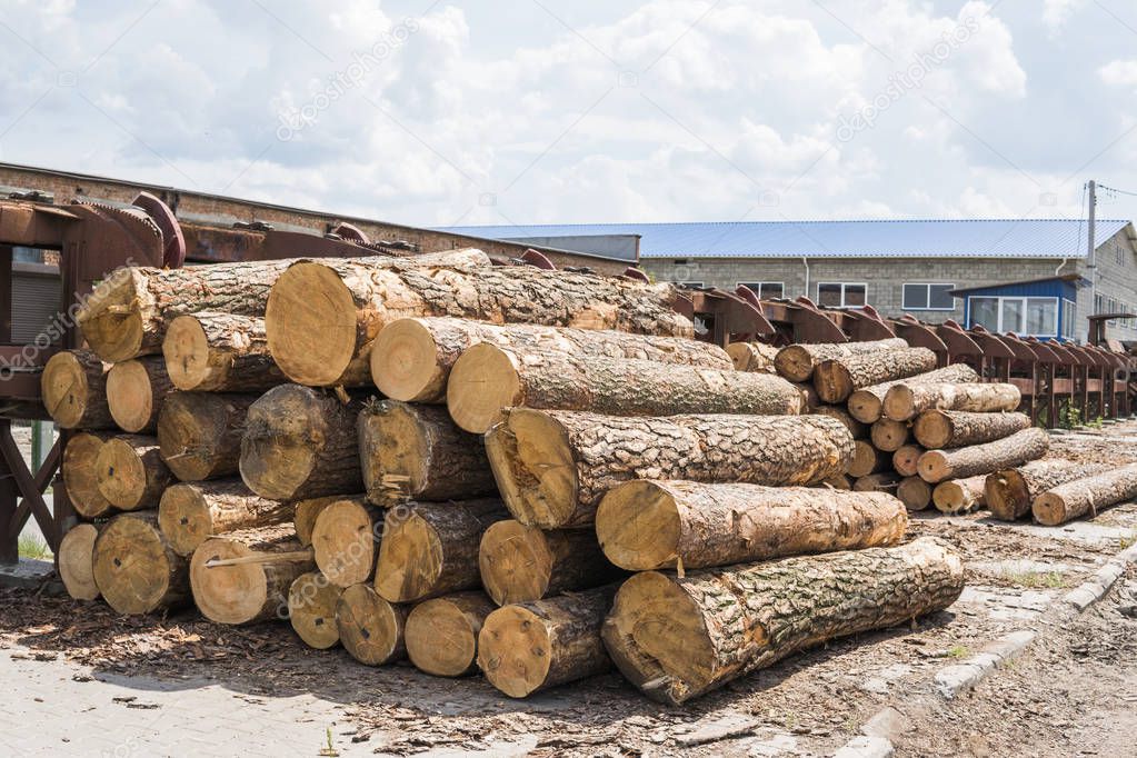 A pile of logs lie on a forest platform, a sawmill. Processing of timber at the sawmill