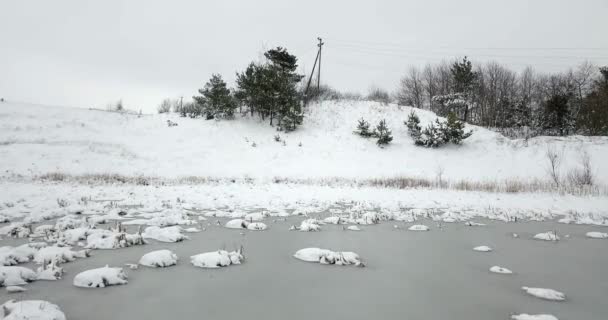 冰冻的池塘覆盖着积雪, 植物覆盖着积雪。冬季景观. — 图库视频影像