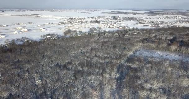 在积雪的森林里, 覆盖着乡村建筑物附近的雪。飞越冰冻的雪杉木和松树林。茂密的森林在冬天的季节。冬季针叶林. — 图库视频影像