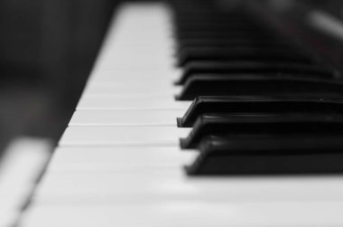 Synthesizer piyano anahtar kurulu yan görünüm. Siyah ve beyaz tuşlar ile profesyonel elektronik MIDI klavye.
